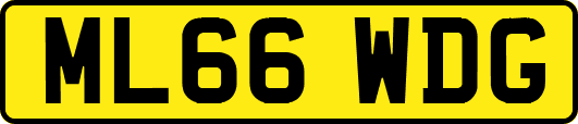 ML66WDG