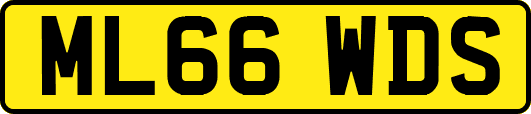 ML66WDS