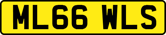 ML66WLS