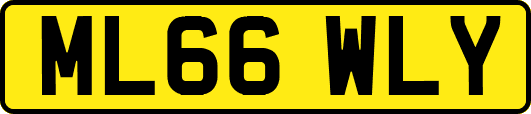 ML66WLY