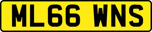ML66WNS
