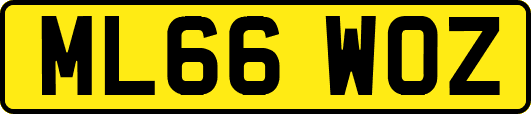 ML66WOZ