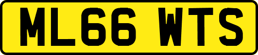 ML66WTS
