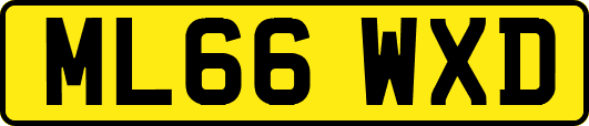 ML66WXD