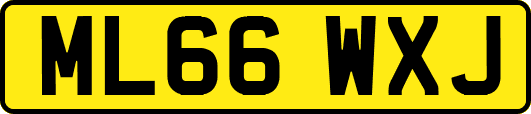 ML66WXJ