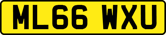 ML66WXU