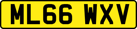 ML66WXV