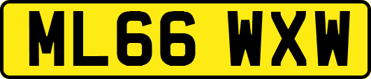 ML66WXW