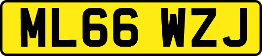 ML66WZJ