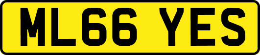 ML66YES