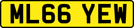 ML66YEW