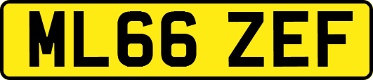 ML66ZEF
