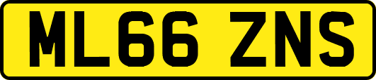 ML66ZNS