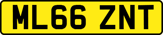 ML66ZNT