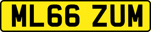 ML66ZUM