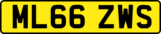 ML66ZWS