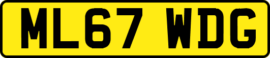 ML67WDG