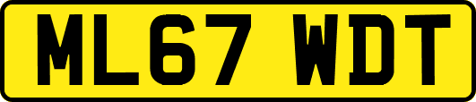 ML67WDT