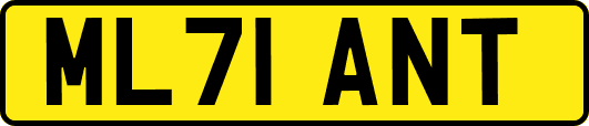 ML71ANT