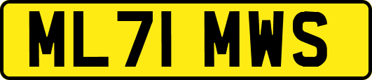 ML71MWS