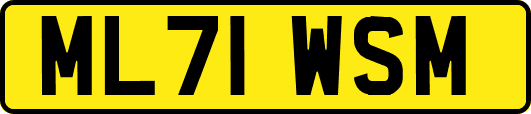 ML71WSM