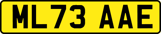 ML73AAE