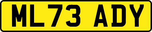 ML73ADY