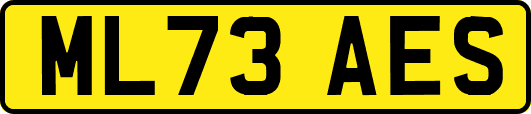 ML73AES