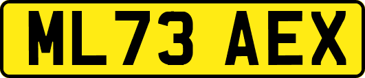 ML73AEX