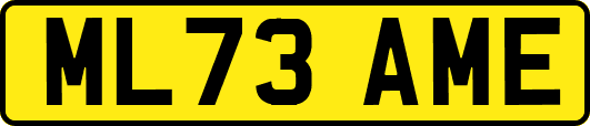 ML73AME