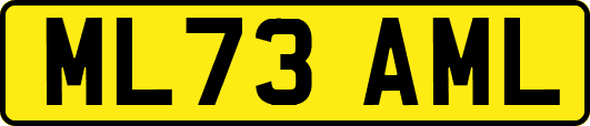 ML73AML