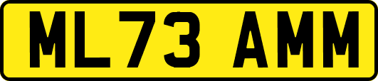 ML73AMM