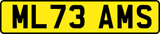ML73AMS