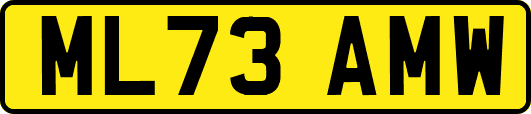 ML73AMW