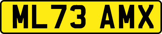 ML73AMX