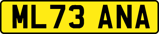 ML73ANA