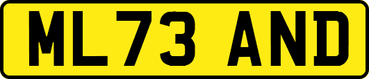 ML73AND