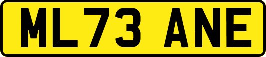 ML73ANE