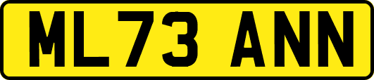 ML73ANN