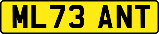 ML73ANT