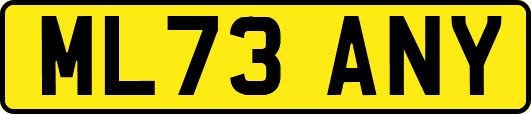 ML73ANY