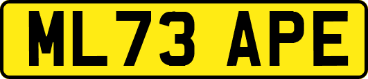 ML73APE