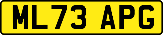 ML73APG