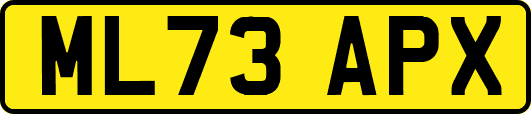 ML73APX