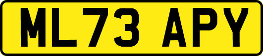 ML73APY