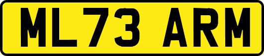ML73ARM