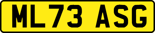 ML73ASG