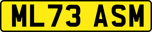 ML73ASM
