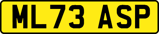 ML73ASP