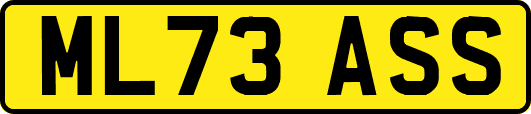 ML73ASS